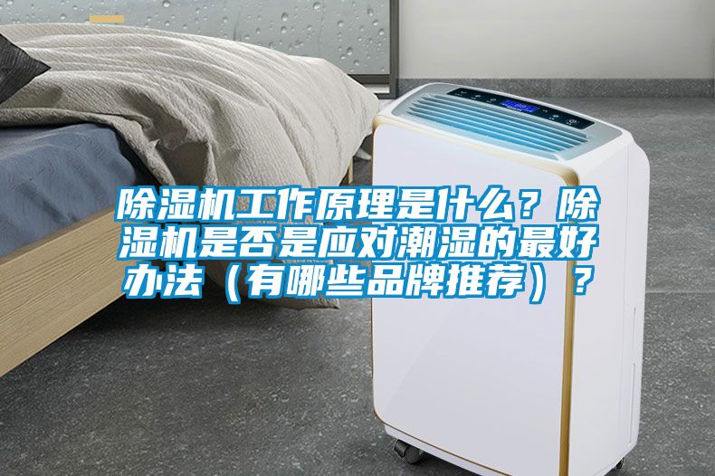 除濕機工作原理是什么？除濕機是否是應(yīng)對潮濕的最好辦法（有哪些品牌推薦）？