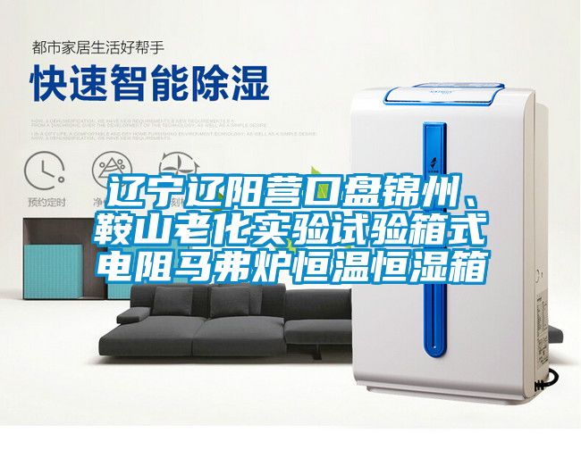 遼寧遼陽(yáng)營(yíng)口盤(pán)錦州、鞍山老化實(shí)驗(yàn)試驗(yàn)箱式電阻馬弗爐恒溫恒濕箱