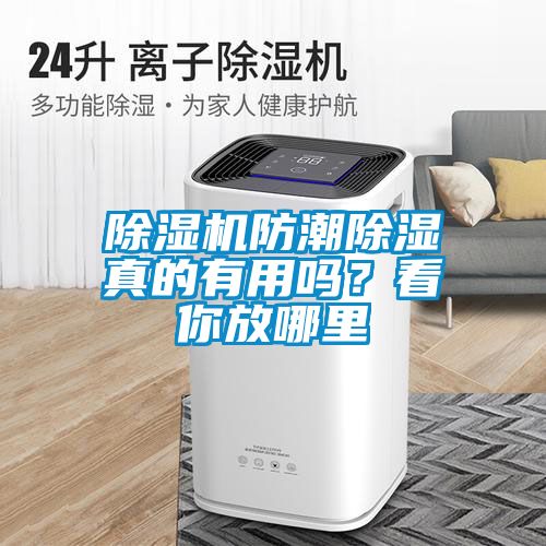 除濕機(jī)防潮除濕真的有用嗎？看你放哪里