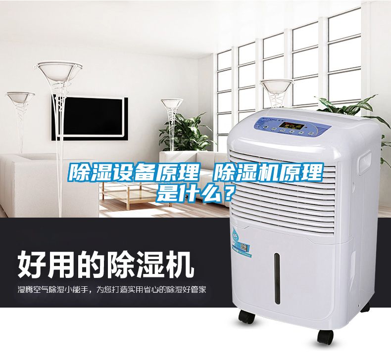 除濕設(shè)備原理 除濕機(jī)原理是什么？