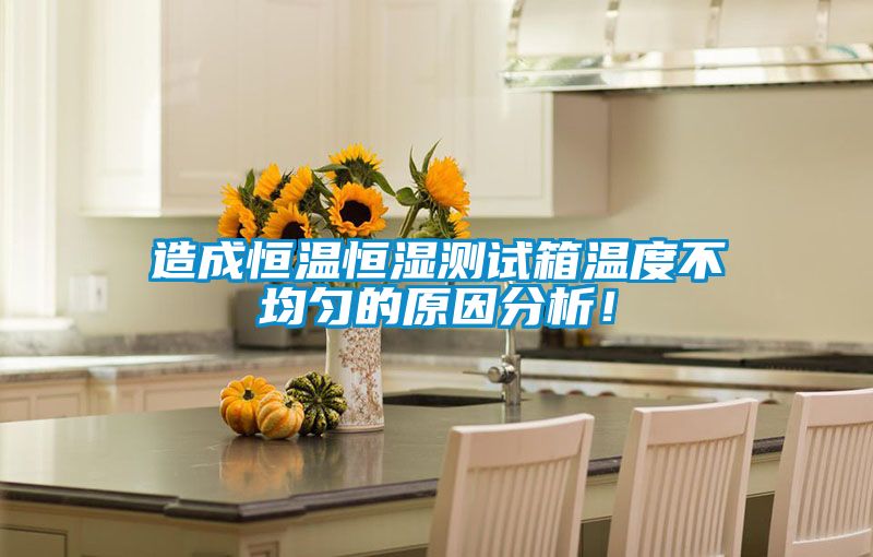 造成恒溫恒濕測試箱溫度不均勻的原因分析！