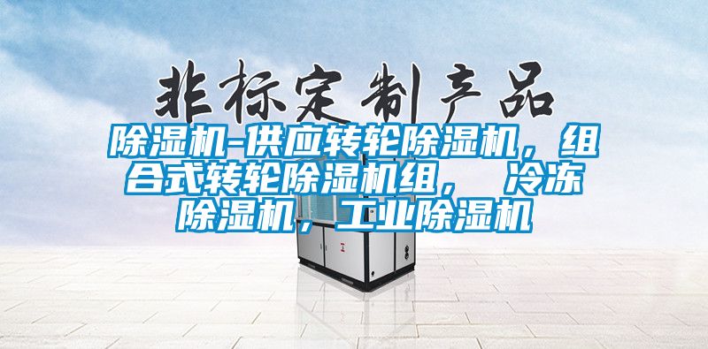 除濕機(jī)-供應(yīng)轉(zhuǎn)輪除濕機(jī)，組合式轉(zhuǎn)輪除濕機(jī)組， 冷凍除濕機(jī)，工業(yè)除濕機(jī)