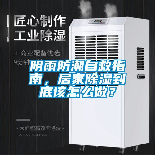 陰雨防潮自救指南，居家除濕到底該怎么做？