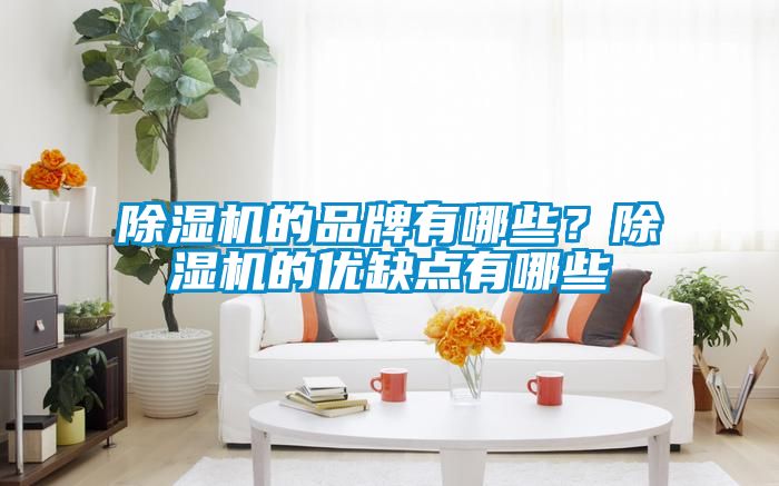 除濕機的品牌有哪些？除濕機的優(yōu)缺點有哪些