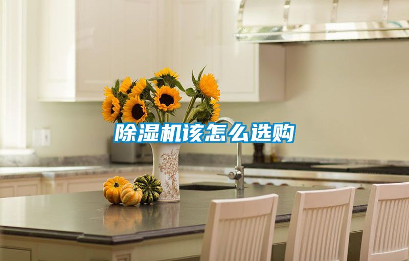 除濕機(jī)該怎么選購(gòu)