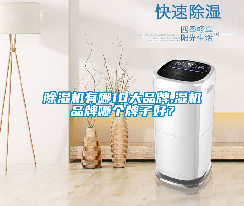 除濕機(jī)有哪10大品牌,濕機(jī)品牌哪個(gè)牌子好？