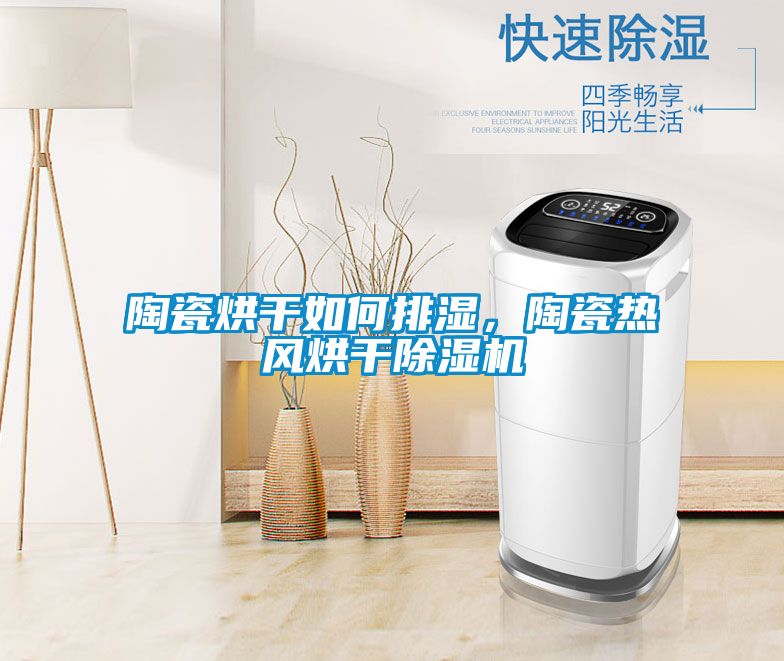 陶瓷烘干如何排濕，陶瓷熱風(fēng)烘干除濕機(jī)