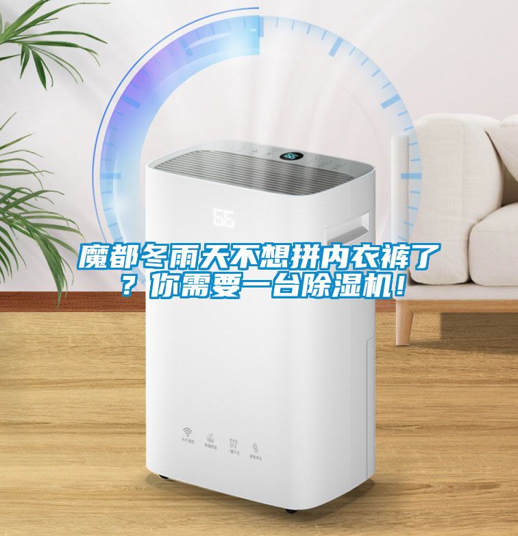 魔都冬雨天不想拼內(nèi)衣褲了？你需要一臺除濕機！