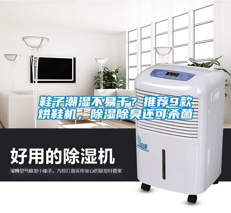 鞋子潮濕不易干？推薦9款烘鞋機(jī)，除濕除臭還可殺菌