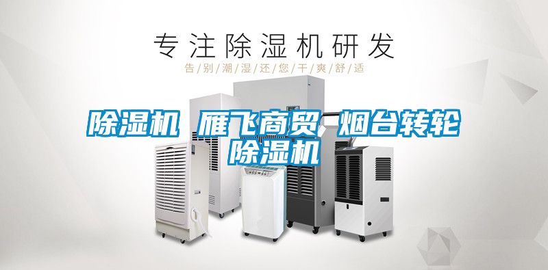 除濕機(jī) 雁飛商貿(mào) 煙臺轉(zhuǎn)輪除濕機(jī)