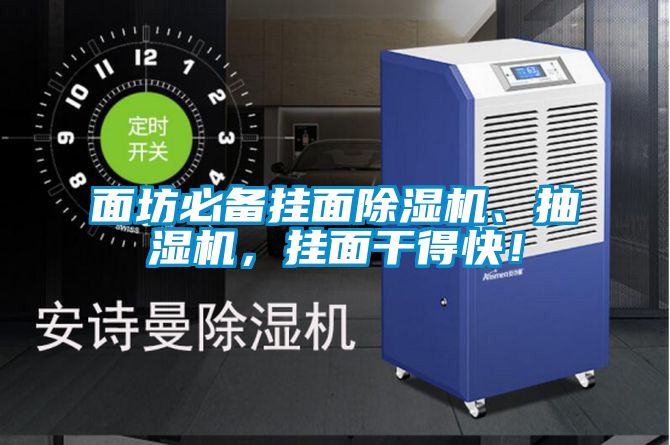 面坊必備掛面除濕機(jī)、抽濕機(jī)，掛面干得快！