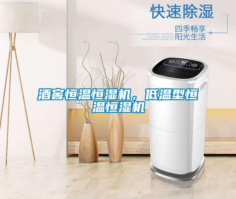 酒窖恒溫恒濕機，低溫型恒溫恒濕機