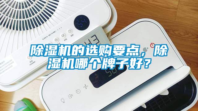 除濕機(jī)的選購要點(diǎn)，除濕機(jī)哪個(gè)牌子好？