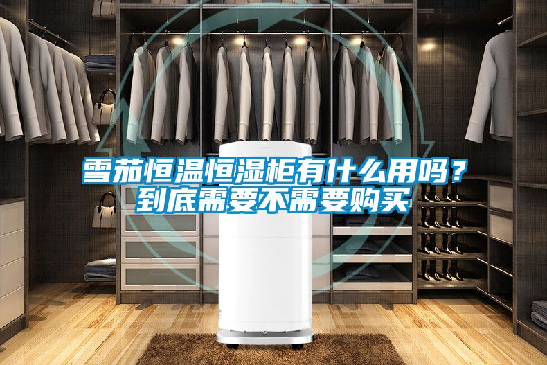 雪茄恒溫恒濕柜有什么用嗎？到底需要不需要購買
