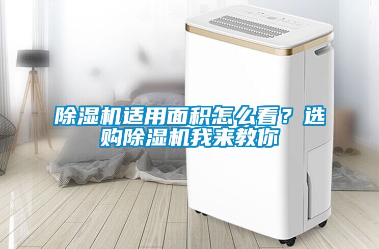 除濕機適用面積怎么看？選購除濕機我來教你