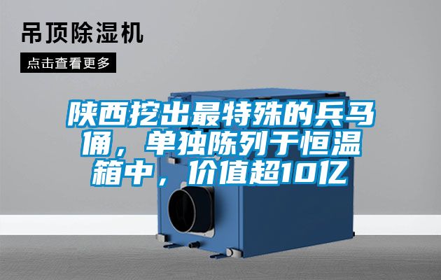 陜西挖出最特殊的兵馬俑，單獨(dú)陳列于恒溫箱中，價(jià)值超10億