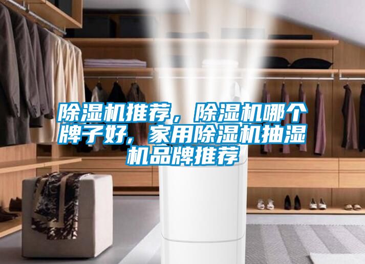 除濕機(jī)推薦，除濕機(jī)哪個(gè)牌子好, 家用除濕機(jī)抽濕機(jī)品牌推薦
