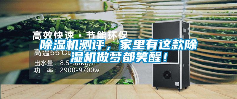 除濕機測評，家里有這款除濕機做夢都笑醒！