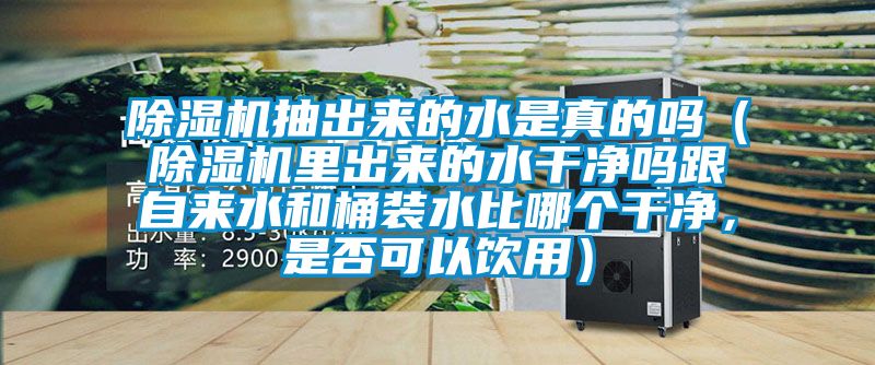 除濕機(jī)抽出來的水是真的嗎（除濕機(jī)里出來的水干凈嗎跟自來水和桶裝水比哪個(gè)干凈，是否可以飲用）