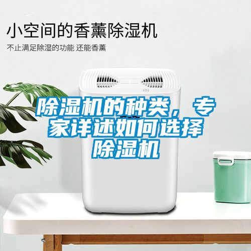 除濕機(jī)的種類(lèi)，專(zhuān)家詳述如何選擇除濕機(jī)