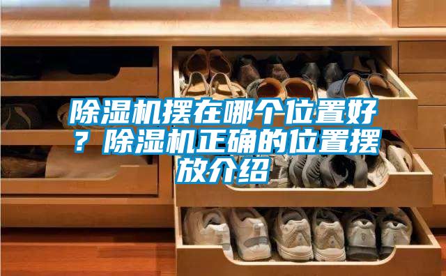 除濕機(jī)擺在哪個(gè)位置好？除濕機(jī)正確的位置擺放介紹