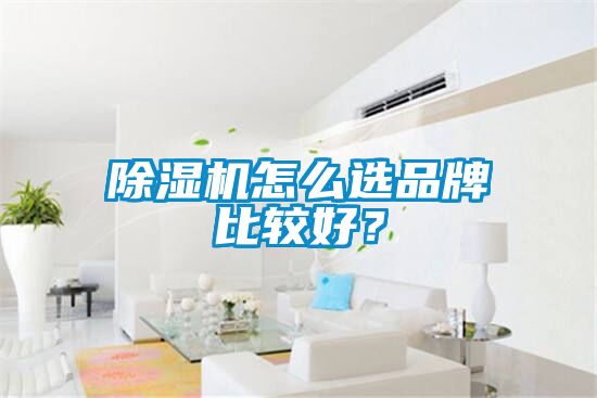 除濕機怎么選品牌比較好？