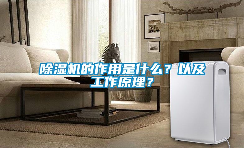 除濕機(jī)的作用是什么？以及工作原理？