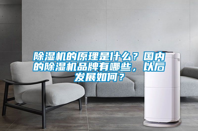 除濕機的原理是什么？國內(nèi)的除濕機品牌有哪些，以后發(fā)展如何？
