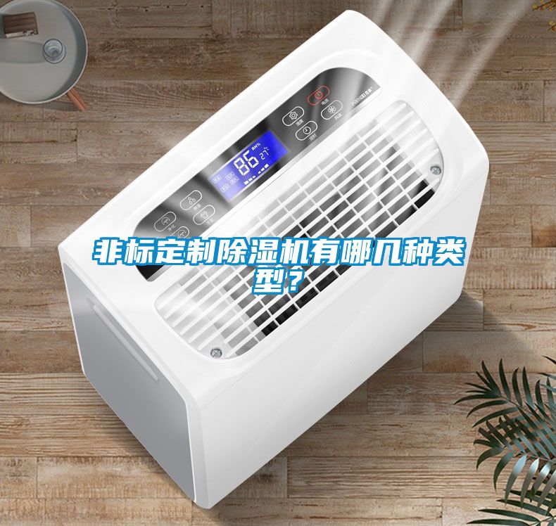 非標(biāo)定制除濕機(jī)有哪幾種類型？