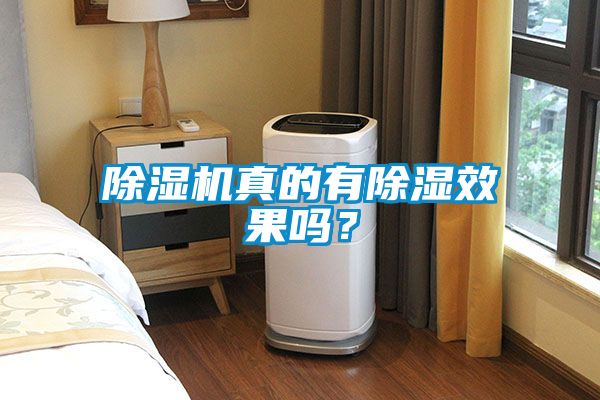 除濕機(jī)真的有除濕效果嗎？