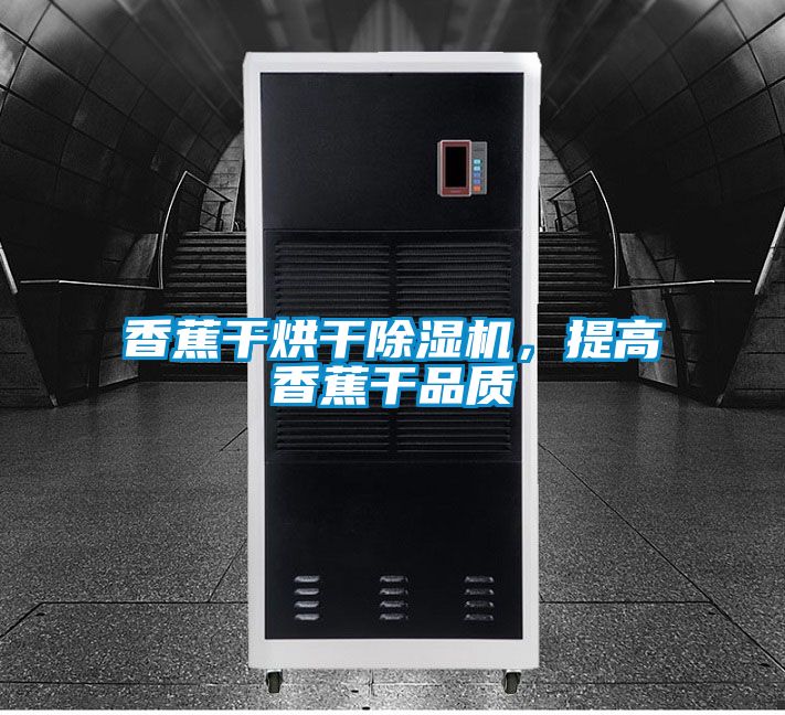 香蕉干烘干除濕機(jī)，提高香蕉干品質(zhì)