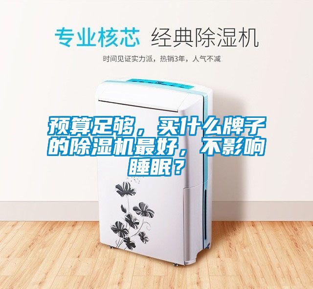 預(yù)算足夠，買什么牌子的除濕機(jī)最好，不影響睡眠？