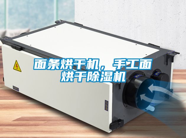 面條烘干機(jī)，手工面烘干除濕機(jī)