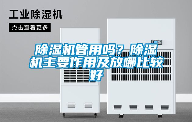 除濕機管用嗎？除濕機主要作用及放哪比較好