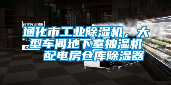 通化市工業(yè)除濕機(jī)，大型車間地下室抽濕機(jī)  配電房倉庫除濕器
