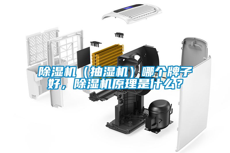 除濕機(jī)（抽濕機(jī)）哪個(gè)牌子好，除濕機(jī)原理是什么？