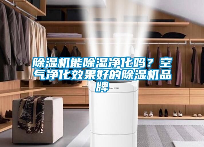 除濕機(jī)能除濕凈化嗎？空氣凈化效果好的除濕機(jī)品牌