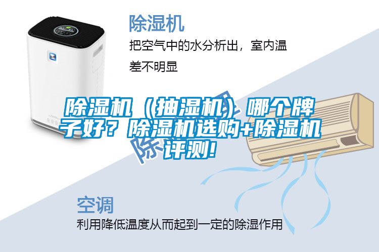除濕機(jī)（抽濕機(jī)）哪個牌子好？除濕機(jī)選購+除濕機(jī)評測!