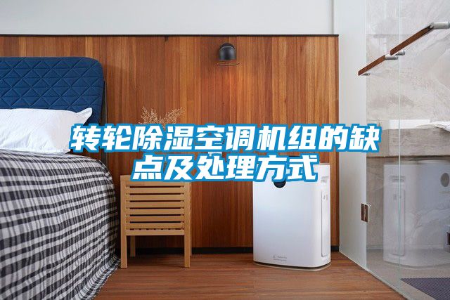 轉(zhuǎn)輪除濕空調(diào)機(jī)組的缺點及處理方式