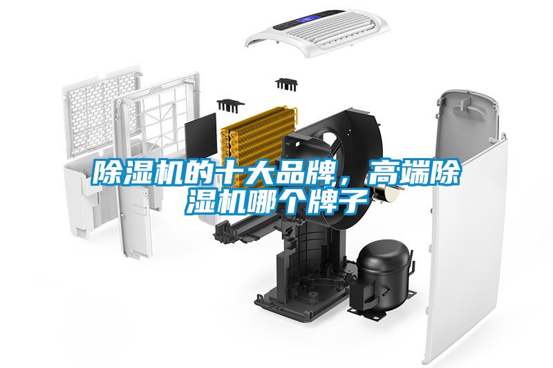 除濕機(jī)的十大品牌，高端除濕機(jī)哪個牌子