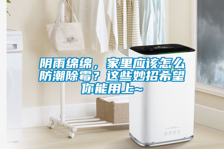 陰雨綿綿，家里應(yīng)該怎么防潮除霉？這些妙招希望你能用上~