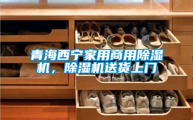 青海西寧家用商用除濕機，除濕機送貨上門