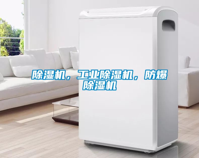 除濕機(jī)，工業(yè)除濕機(jī)，防爆除濕機(jī)