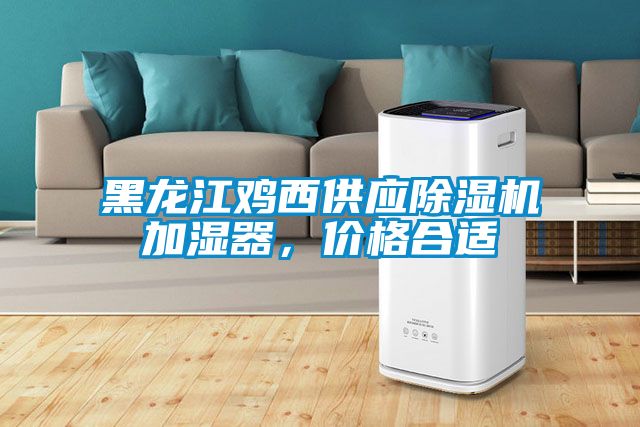 黑龍江雞西供應(yīng)除濕機加濕器，價格合適