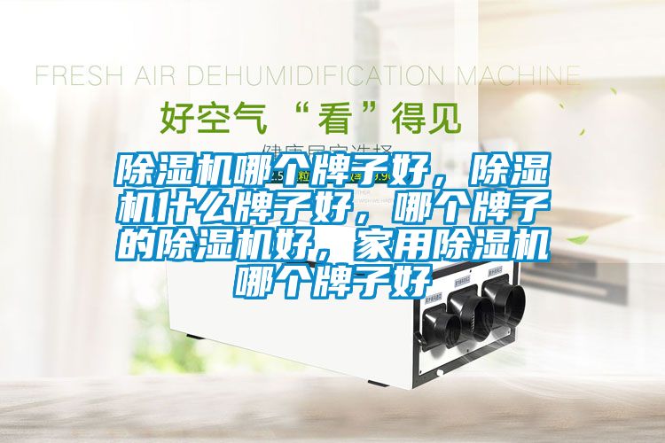 除濕機哪個牌子好，除濕機什么牌子好，哪個牌子的除濕機好，家用除濕機哪個牌子好