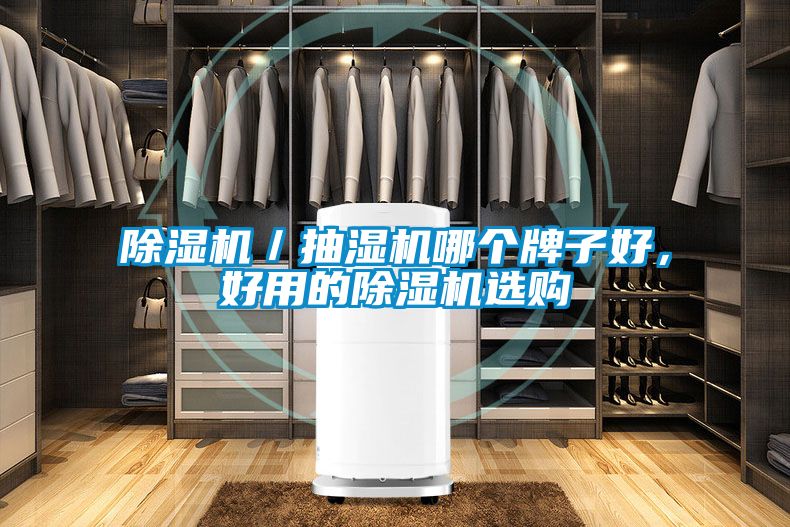 除濕機(jī)／抽濕機(jī)哪個(gè)牌子好，好用的除濕機(jī)選購(gòu)