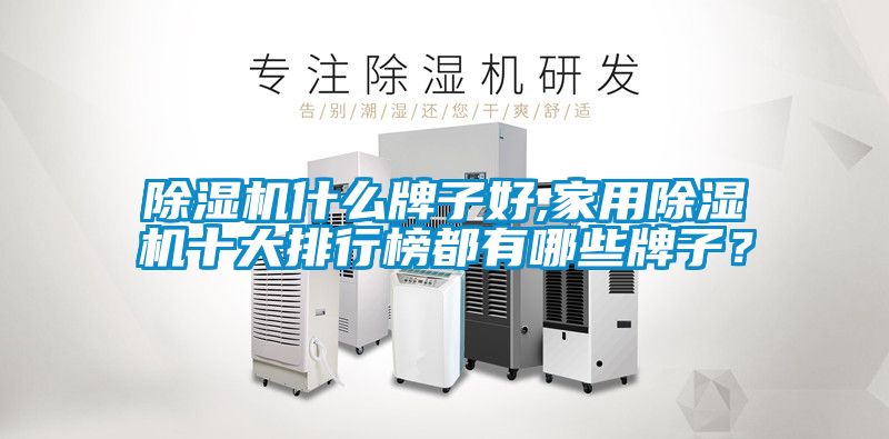 除濕機(jī)什么牌子好,家用除濕機(jī)十大排行榜都有哪些牌子？