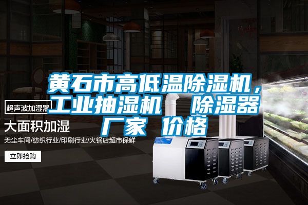 黃石市高低溫除濕機，工業(yè)抽濕機  除濕器廠家 價格