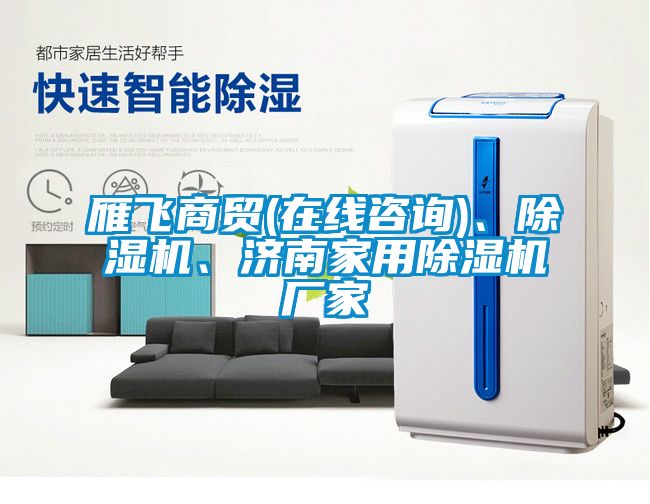 雁飛商貿(mào)(在線咨詢)、除濕機(jī)、濟(jì)南家用除濕機(jī)廠家