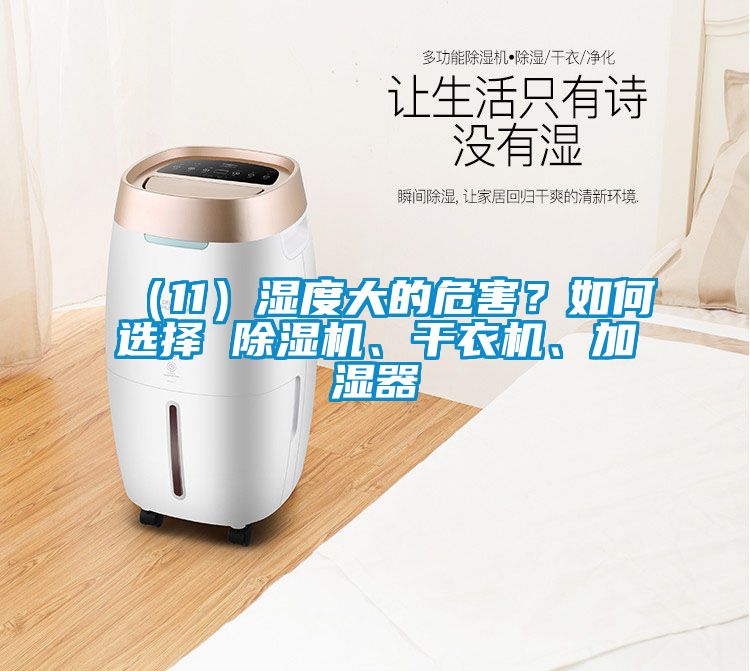 （11）濕度大的危害？如何選擇 除濕機(jī)、干衣機(jī)、加濕器